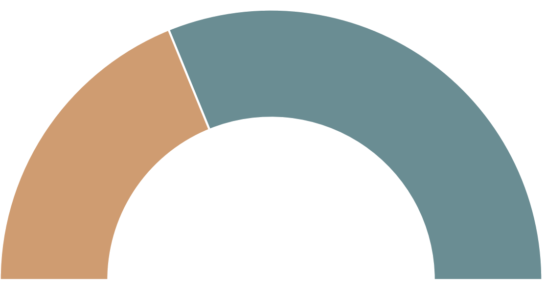 Cars gauge
